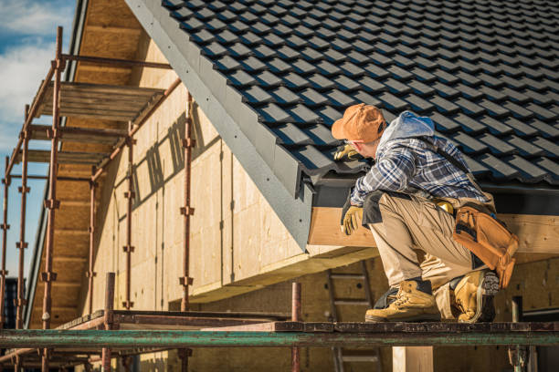 Best Shingle Roofing Installation  in Las Quintas Fronterizas, TX
