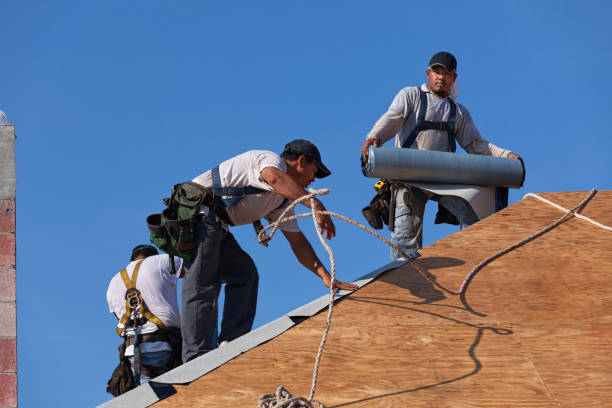 Professional Roofing Contractor in Las Quintas Fronterizas, TX
