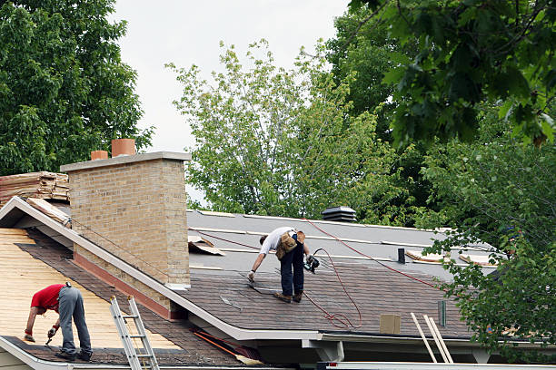 Best Gutter Installation and Roofing  in Las Quintas Fronterizas, TX